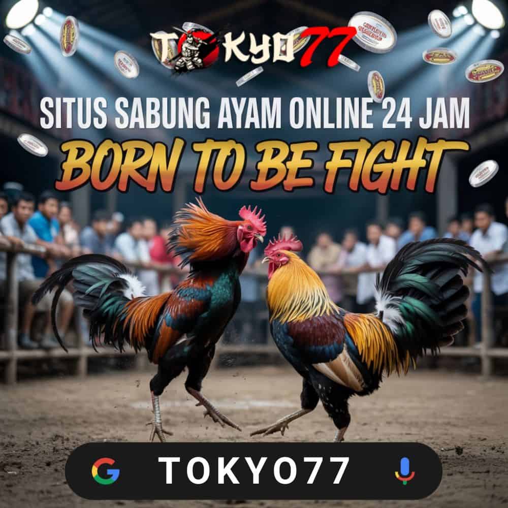 Slot777 Innovations: How It Keeps Players Hooked